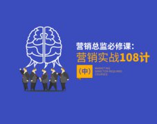 营销总监必修课：营销实战108计-中