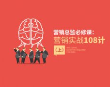 营销总监必修课：营销实战108计-上